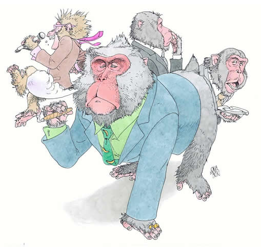 ���P�u�M��